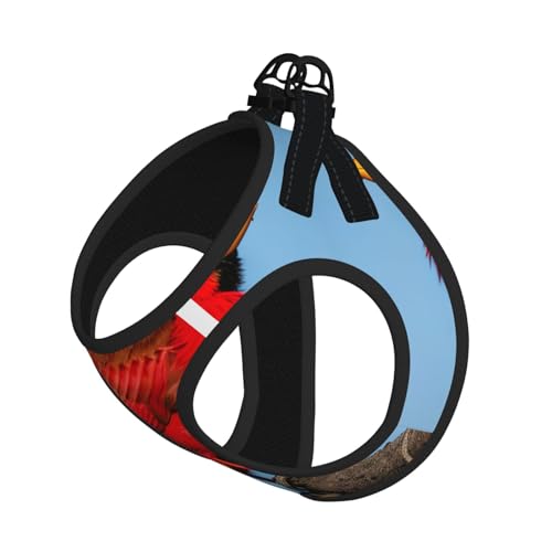 L Pet Leash Vest Hundegeschirr, kleine Größe, schöner roter Vogeldruck, Leinen-Set mit Schnalle, Hundebegleiter, Outdoor-Spaziergänge von LLOTPQ