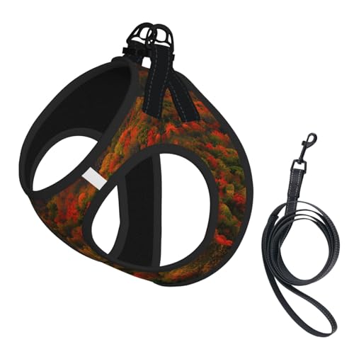 L Pet Leash Vest Hundegeschirr – Kleine Größe, Blue Ridge Parkway Mountains Print Leash Set mit Schnalle, Hundebegleiter, Outdoor Hund Gassi gehen von LLOTPQ