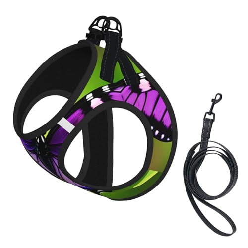 L Pet Leash Vest Hundegeschirr – Kleine Größe, Schmetterlingsleine mit Schnalle, Hundebegleiter, Outdoor, Hund Gassi gehen L Pet Leash Vest Hundegeschirr – Kleine Größe, Schmetterlingsleine mit Schnalle, Hundebegleiter, Outdoor, Hund Gassi gehen von LLOTPQ