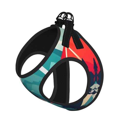 L Pet Leash Vest Hundegeschirr – kleine Größe, Reise-Leinen-Set mit Schnalle, Hundebegleiter, Outdoor-Spaziergänge von LLOTPQ