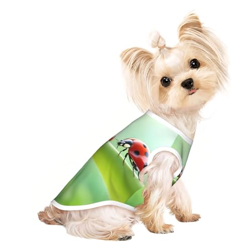 L Pet atmungsaktives ärmelloses T-Shirt – weich, lustiger Marienkäfer-Druck, dehnbare Weste für kleine, mittelgroße Hunde und Katzen L Pet atmungsaktives ärmelloses T-Shirt – weich, lustiger Marienkäfer-Druck, dehnbare Weste für kleine, mittelgroße Hunde und Katzen von LLOTPQ