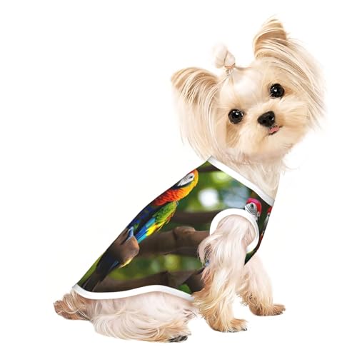 L Pet atmungsaktives ärmelloses T-Shirt – weiche, bunte Papageien auf Baum, dehnbare Weste für kleine, mittelgroße Hunde und Katzen L Pet atmungsaktives ärmelloses T-Shirt – weiche, bunte Papageien auf Baum, dehnbare Weste für kleine, mittelgroße Hunde und Katzen von LLOTPQ