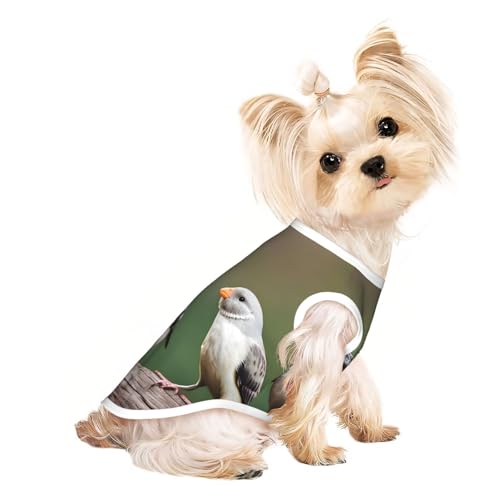 L Pet atmungsaktives ärmelloses T-Shirt – weiche Drei-Vögel-Druck, dehnbare Weste für kleine, mittelgroße Hunde und Katzen L Pet atmungsaktives ärmelloses T-Shirt – weiche Drei-Vögel-Druck, dehnbare Weste für kleine, mittelgroße Hunde und Katzen von LLOTPQ