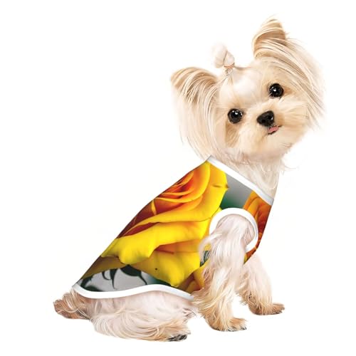 L Pet atmungsaktives ärmelloses T-Shirt – weiche gelbe Rose Druck, dehnbare Weste für kleine, mittelgroße Hunde und Katzen L Pet atmungsaktives ärmelloses T-Shirt – weiche gelbe Rose Druck, dehnbare Weste für kleine, mittelgroße Hunde und Katzen von LLOTPQ