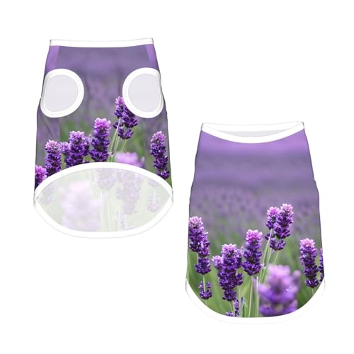 L Pet atmungsaktives ärmelloses T-Shirt – weiche violette Lavendelfarbene Blumendruck, dehnbare Weste für kleine, mittelgroße Hunde und Katzen L Pet atmungsaktives ärmelloses T-Shirt – weiche violette Lavendelfarbene Blumendruck, dehnbare Weste für kleine, mittelgroße Hunde und Katzen von LLOTPQ