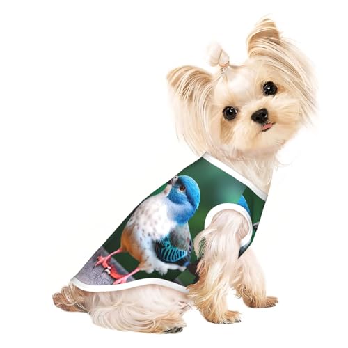 L Pet atmungsaktives ärmelloses T-Shirt – weiche zwei Vögel bedruckt, dehnbare Weste für kleine, mittelgroße Hunde und Katzen L Pet atmungsaktives ärmelloses T-Shirt – weiche zwei Vögel bedruckt, dehnbare Weste für kleine, mittelgroße Hunde und Katzen von LLOTPQ