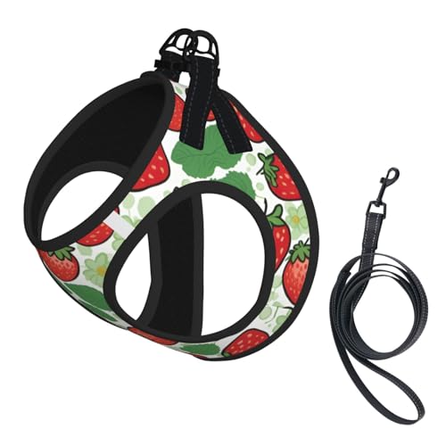 M Haustier-Leine, Hundegeschirr, kleine Größe, Erdbeermuster, mit Schnalle, Hundebegleiter, Outdoor-Spaziergänge M Haustier-Leine, Hundegeschirr, kleine Größe, Erdbeermuster, mit Schnalle, Hundebegleiter, Outdoor-Spaziergänge von LLOTPQ