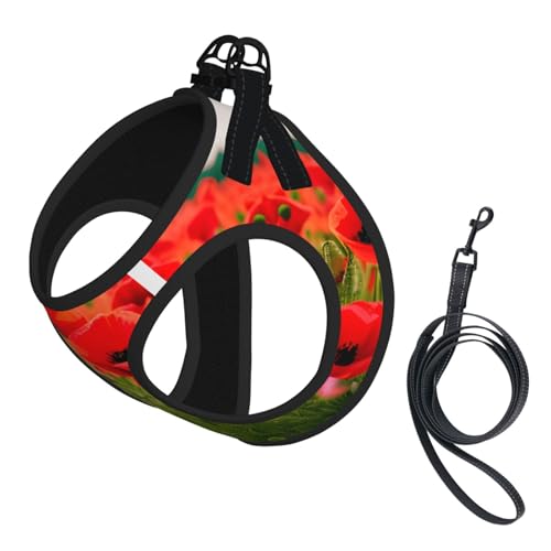 M Haustier-Leine, Hundegeschirr, kleine Größe, Mohnblumen, lebendige Blütenblätter, mit Schnalle, Hundebegleiter, Outdoor-Spaziergänge M Haustier-Leine, Hundegeschirr, kleine Größe, Mohnblumen, lebendige Blütenblätter, mit Schnalle, Hundebegleiter, Outdoor-Spaziergänge von LLOTPQ