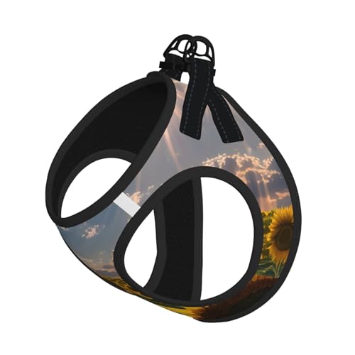 M Haustier-Leine, Hundegeschirr, kleine Größe, Sonnenblumen, Sonnenlicht, bedruckt, Leinen-Set mit Schnalle, Hundebegleiter, Outdoor-Spaziergänge M Haustier-Leine, Hundegeschirr, kleine Größe, Sonnenblumen, Sonnenlicht, bedruckt, Leinen-Set mit Schnalle, Hundebegleiter, Outdoor-Spaziergänge von LLOTPQ