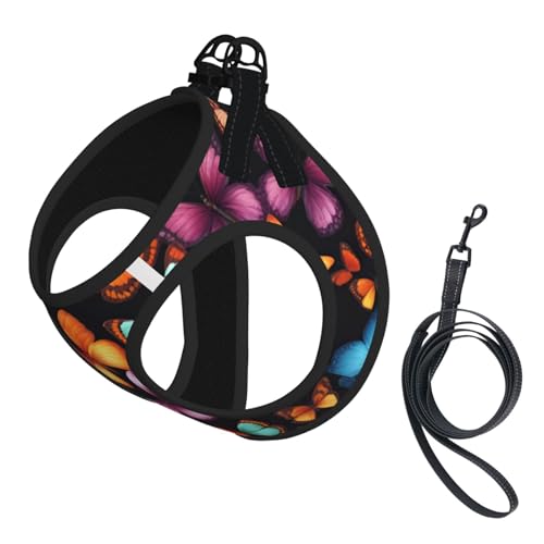 M Haustier-Leine, Hundegeschirr, kleine Größe, buntes Schmetterlings-Design, mit Schnalle, Hundebegleiter, Outdoor-Spaziergänge von LLOTPQ