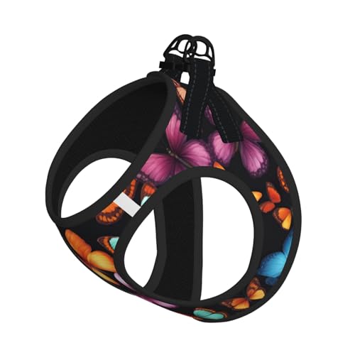 M Haustier-Leine, Hundegeschirr, kleine Größe, buntes Schmetterlings-Design, mit Schnalle, Hundebegleiter, Outdoor-Spaziergänge M Haustier-Leine, Hundegeschirr, kleine Größe, buntes Schmetterlings-Design, mit Schnalle, Hundebegleiter, Outdoor-Spaziergänge von LLOTPQ