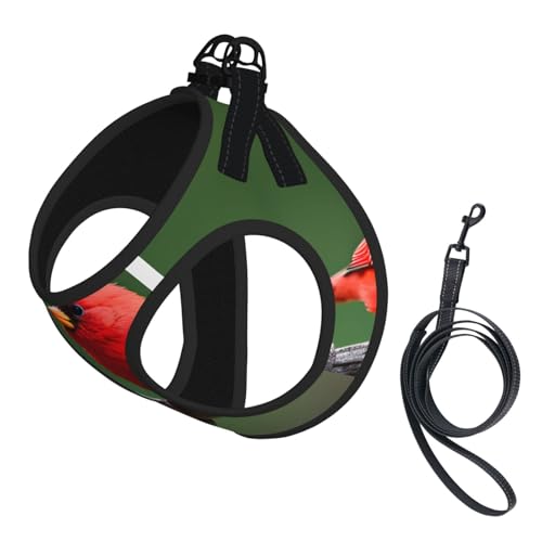 M Haustier-Leine, Hundegeschirr, kleine Größe, rote Vögel, mit Schnalle, Hundebegleiter, Outdoor-Spaziergänge von LLOTPQ