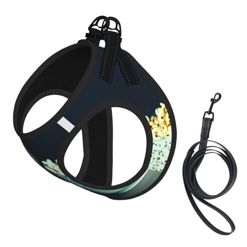 M Pet Leash Vest Dog Harness - Small Size Movie Clapboard And Popcorn Print Leash Set with Buckle, Canine Companion Outdoor Dog Walking M Pet Leash Vest Dog Harness - Small Size Movie Clapboard And Popcorn Print Leash Set with Buckle, Canine Companion Outdoor Dog Walking von LLOTPQ