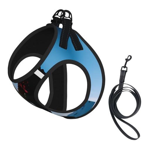 M Pet Leash Vest Dog Harness - Small Size Snowboard Picture Print Leash Set with Buckle, Canine Companion Outdoor dog walking M Pet Leash Vest Dog Harness - Small Size Snowboard Picture Print Leash Set with Buckle, Canine Companion Outdoor dog walking von LLOTPQ