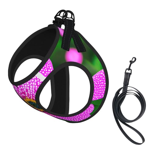 M Pet Leash Vest Hundegeschirr, kleine Größe, gepunktet, rosa Blumendruck, Leinenset mit Schnalle, Hundebegleiter, Outdoor-Spaziergänge von LLOTPQ