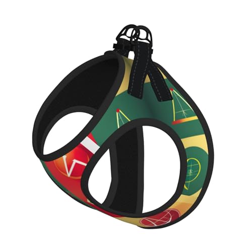 M Pet Leash Vest Hundegeschirr – kleine Größe, Schulmathematik-Symbole, bedrucktes Leinen-Set mit Schnalle, Hundebegleiter, Outdoor-Spaziergänge von LLOTPQ