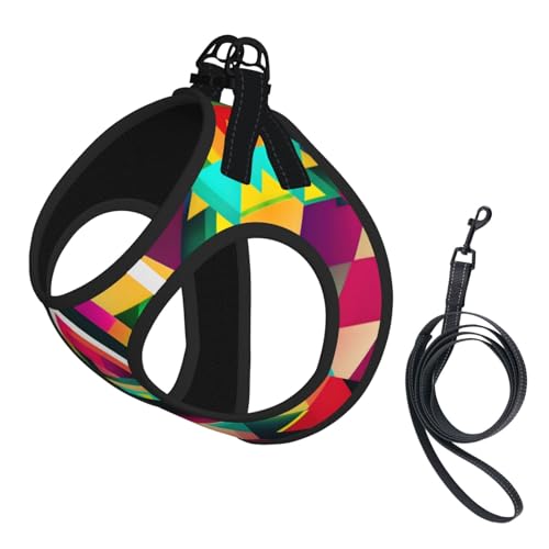 M Pet Leash Vest Hundegeschirr – kleine Größe, buntes Dreiecksmuster, Druck-Leinen-Set mit Schnalle, Hundebegleiter, Outdoor-Hund M Pet Leash Vest Hundegeschirr – kleine Größe, buntes Dreiecksmuster, Druck-Leinen-Set mit Schnalle, Hundebegleiter, Outdoor-Hund von LLOTPQ