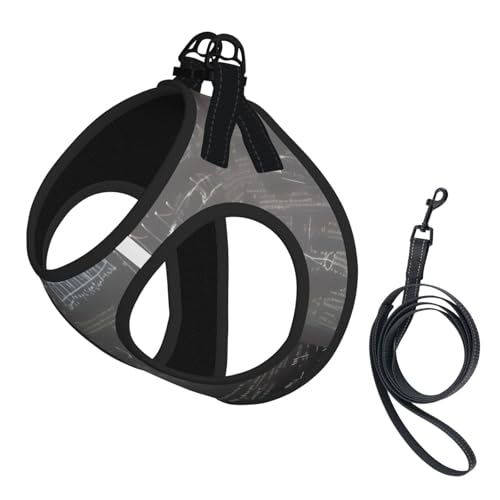 M Pet Leash Vest Hundegeschirr – kleine Größe, mathematische Symbole, Muster, Druck-Leinen-Set mit Schnalle, Hundebegleiter, Outdoor-Hund M Pet Leash Vest Hundegeschirr – kleine Größe, mathematische Symbole, Muster, Druck-Leinen-Set mit Schnalle, Hundebegleiter, Outdoor-Hund von LLOTPQ