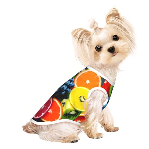 M Pet atmungsaktives ärmelloses T-Shirt – weiche Früchte, Regenbogen-Druck, dehnbare Weste für kleine, mittelgroße Hunde und Katzen M Pet atmungsaktives ärmelloses T-Shirt – weiche Früchte, Regenbogen-Druck, dehnbare Weste für kleine, mittelgroße Hunde und Katzen von LLOTPQ
