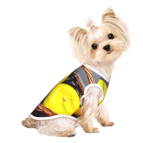 M Pet atmungsaktives ärmelloses T-Shirt – weiche Weste mit Zitronenmuster, dehnbare Weste für kleine, mittelgroße Hunde und Katzen M Pet atmungsaktives ärmelloses T-Shirt – weiche Weste mit Zitronenmuster, dehnbare Weste für kleine, mittelgroße Hunde und Katzen von LLOTPQ