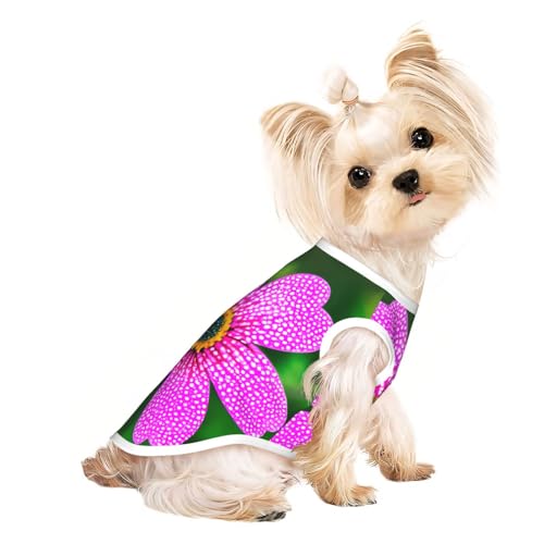M Pet atmungsaktives ärmelloses T-Shirt – weiche gepunktete rosa Blumendruck, dehnbare Weste für kleine, mittelgroße Hunde und Katzen M Pet atmungsaktives ärmelloses T-Shirt – weiche gepunktete rosa Blumendruck, dehnbare Weste für kleine, mittelgroße Hunde und Katzen von LLOTPQ