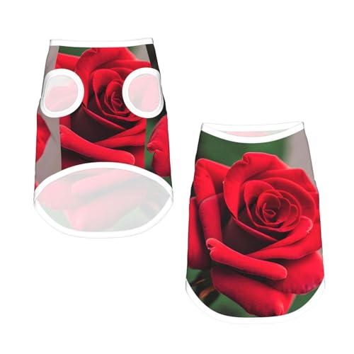 M Pet atmungsaktives ärmelloses T-Shirt – weiche rote Rose, 1 Druck, dehnbare Weste für kleine, mittelgroße Hunde und Katzen M Pet atmungsaktives ärmelloses T-Shirt – weiche rote Rose, 1 Druck, dehnbare Weste für kleine, mittelgroße Hunde und Katzen von LLOTPQ