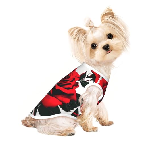 M Pet atmungsaktives ärmelloses T-Shirt – weiche rote Rose, dehnbare Weste für kleine, mittelgroße Hunde und Katzen M Pet atmungsaktives ärmelloses T-Shirt – weiche rote Rose, dehnbare Weste für kleine, mittelgroße Hunde und Katzen von LLOTPQ