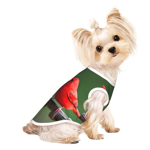 M Pet atmungsaktives ärmelloses T-Shirt – weiche rote Vögel bedruckt, dehnbare Weste für kleine, mittelgroße Hunde und Katzen M Pet atmungsaktives ärmelloses T-Shirt – weiche rote Vögel bedruckt, dehnbare Weste für kleine, mittelgroße Hunde und Katzen von LLOTPQ