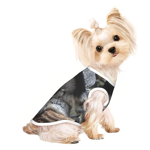 M Pet atmungsaktives ärmelloses T-Shirt – weiche schlafende Koala-Kappe, dehnbare Weste für kleine, mittelgroße Hunde und Katzen M Pet atmungsaktives ärmelloses T-Shirt – weiche schlafende Koala-Kappe, dehnbare Weste für kleine, mittelgroße Hunde und Katzen von LLOTPQ