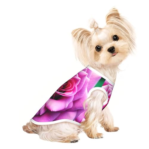 M Pet atmungsaktives ärmelloses T-Shirt – weiche violette Rose mit Blumendruck, dehnbare Weste für kleine, mittelgroße Hunde und Katzen M Pet atmungsaktives ärmelloses T-Shirt – weiche violette Rose mit Blumendruck, dehnbare Weste für kleine, mittelgroße Hunde und Katzen von LLOTPQ
