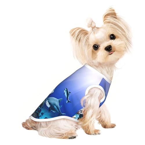 M Pet atmungsaktives ärmelloses T-Shirt – weicher Hai, der unter dem Meer schwimmt, dehnbare Weste für kleine, mittelgroße Hunde und Katzen M Pet atmungsaktives ärmelloses T-Shirt – weicher Hai, der unter dem Meer schwimmt, dehnbare Weste für kleine, mittelgroße Hunde und Katzen von LLOTPQ