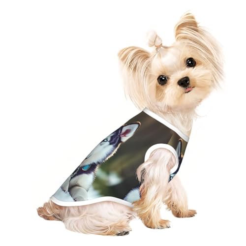 M Pet atmungsaktives ärmelloses T-Shirt – weicher Husky-Hunde-Druck, dehnbare Weste für kleine, mittelgroße Hunde und Katzen M Pet atmungsaktives ärmelloses T-Shirt – weicher Husky-Hunde-Druck, dehnbare Weste für kleine, mittelgroße Hunde und Katzen von LLOTPQ
