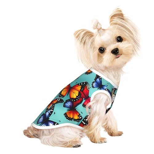 M Pet atmungsaktives ärmelloses T-Shirt – weicher Schmetterlings- und Cello-Druck, dehnbare Weste für kleine, mittelgroße Hunde und Katzen M Pet atmungsaktives ärmelloses T-Shirt – weicher Schmetterlings- und Cello-Druck, dehnbare Weste für kleine, mittelgroße Hunde und Katzen von LLOTPQ