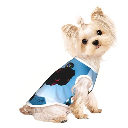 M Pet atmungsaktives ärmelloses T-Shirt – weicher Snowboard-Bild-Druck, dehnbare Weste für kleine, mittelgroße Hunde und Katzen M Pet atmungsaktives ärmelloses T-Shirt – weicher Snowboard-Bild-Druck, dehnbare Weste für kleine, mittelgroße Hunde und Katzen von LLOTPQ