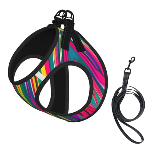 S Haustier-Leine, Hundegeschirr, kleine Größe, Regenbogen-Linien, bedruckt, Leinen-Set mit Schnalle, Hundebegleiter, Outdoor-Spaziergänge von LLOTPQ