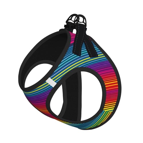 S Haustier-Leine, Hundegeschirr, kleine Größe, Regenbogen-Muster, mit Schnalle, Hundebegleiter, Outdoor-Spaziergänge von LLOTPQ