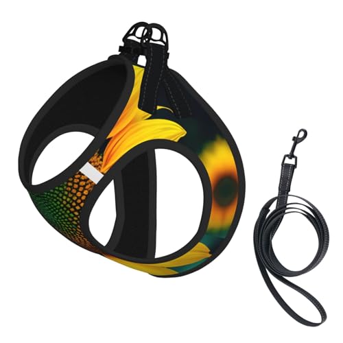 S Haustier-Leine, Hundegeschirr, kleine Größe, Regenbogen-Sonnenblumen-Druck, Leinen-Set mit Schnalle, Hundebegleiter, Outdoor-Spaziergänge S Haustier-Leine, Hundegeschirr, kleine Größe, Regenbogen-Sonnenblumen-Druck, Leinen-Set mit Schnalle, Hundebegleiter, Outdoor-Spaziergänge von LLOTPQ