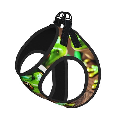 S Haustier-Leine, Hundegeschirr, kleine Größe, lustiger Frosch-Druck, Leinen-Set mit Schnalle, Hundebegleiter, Outdoor-Spaziergänge S Haustier-Leine, Hundegeschirr, kleine Größe, lustiger Frosch-Druck, Leinen-Set mit Schnalle, Hundebegleiter, Outdoor-Spaziergänge von LLOTPQ