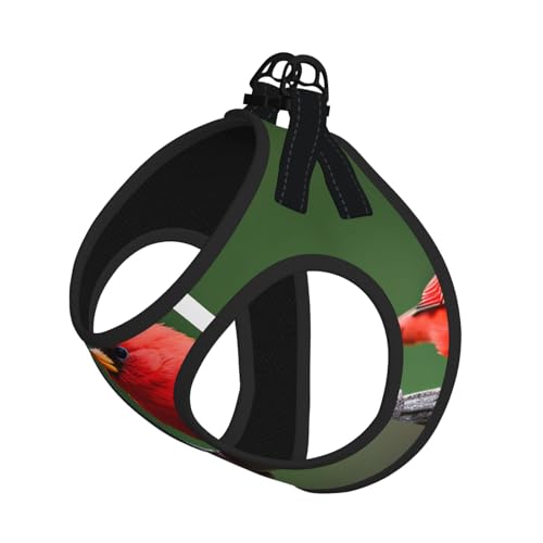 S Haustier-Leine, Hundegeschirr, kleine Größe, rote Vögel, mit Schnalle, Hundebegleiter, Outdoor-Spaziergänge S Haustier-Leine, Hundegeschirr, kleine Größe, rote Vögel, mit Schnalle, Hundebegleiter, Outdoor-Spaziergänge von LLOTPQ