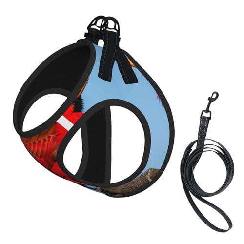 S Haustier-Leine, Hundegeschirr, kleine Größe, schöner roter Vogeldruck, Leinen-Set mit Schnalle, Hundebegleiter, Outdoor-Spaziergänge von LLOTPQ