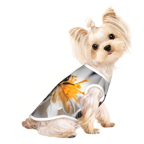 S Pet atmungsaktives ärmelloses T-Shirt – weiche Biene auf Wabenmuster, dehnbare Weste für kleine, mittelgroße Hunde und Katzen S Pet atmungsaktives ärmelloses T-Shirt – weiche Biene auf Wabenmuster, dehnbare Weste für kleine, mittelgroße Hunde und Katzen von LLOTPQ
