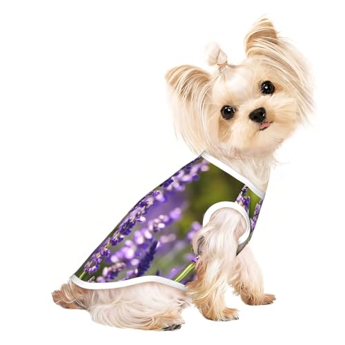 S Pet atmungsaktives ärmelloses T-Shirt – weiche Lavendelblüten S-Druck, dehnbare Weste für kleine, mittelgroße Hunde und Katzen S Pet atmungsaktives ärmelloses T-Shirt – weiche Lavendelblüten S-Druck, dehnbare Weste für kleine, mittelgroße Hunde und Katzen von LLOTPQ