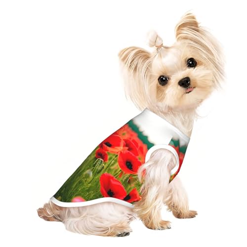S Pet atmungsaktives ärmelloses T-Shirt – weiche Mohnblumen, lebendige Blütenblätter, dehnbare Weste für kleine, mittelgroße Hunde und Katzen S Pet atmungsaktives ärmelloses T-Shirt – weiche Mohnblumen, lebendige Blütenblätter, dehnbare Weste für kleine, mittelgroße Hunde und Katzen von LLOTPQ
