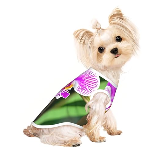 S Pet atmungsaktives ärmelloses T-Shirt – weicher Orchideen-Druck, dehnbare Weste für kleine, mittelgroße Hunde und Katzen S Pet atmungsaktives ärmelloses T-Shirt – weicher Orchideen-Druck, dehnbare Weste für kleine, mittelgroße Hunde und Katzen von LLOTPQ