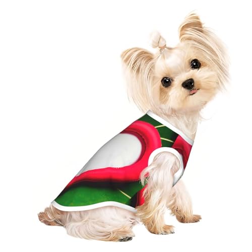 S Pet atmungsaktives ärmelloses T-Shirt – weicher Valentinstags-Liebesaufdruck, dehnbare Weste für kleine, mittelgroße Hunde und Katzen S Pet atmungsaktives ärmelloses T-Shirt – weicher Valentinstags-Liebesaufdruck, dehnbare Weste für kleine, mittelgroße Hunde und Katzen von LLOTPQ