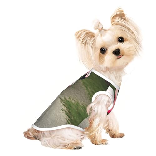 S Pet atmungsaktives ärmelloses T-Shirt – weicher rosa Flamingo-Druck, dehnbare Weste für kleine, mittelgroße Hunde und Katzen S Pet atmungsaktives ärmelloses T-Shirt – weicher rosa Flamingo-Druck, dehnbare Weste für kleine, mittelgroße Hunde und Katzen von LLOTPQ