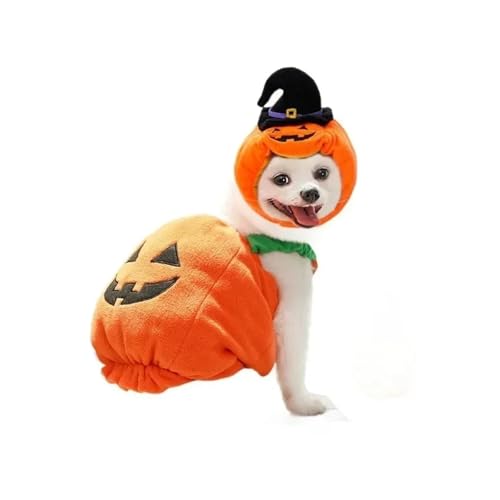 Halloween-Kürbis-Laterne für Hunde, Halloween, Hund, Katze, zweibeinig, niedlicher Kürbishut, Hundejacke (XS) von LMDO