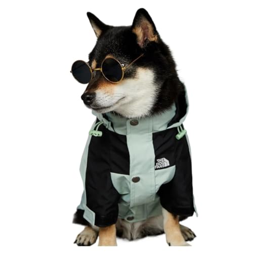 Hundebekleidung Regenmantel für kleine und große Hunde, Windjacke, mit Kapuze der französischen Bulldogge, Grün, Größe 4XL (16–31 kg) von LMDO