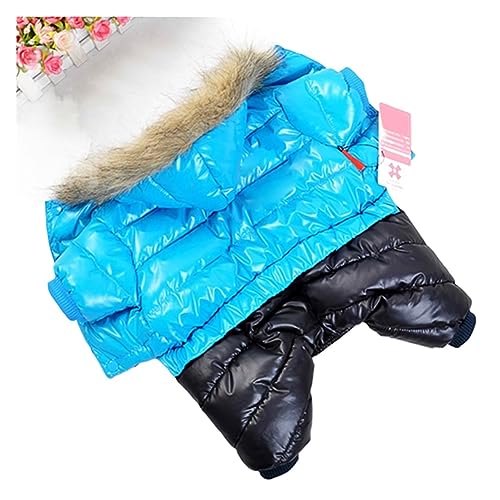 Winter-Haustier-Hundekleidung, dicke, warme Jacke für kleine, große Hunde, wasserdichter Welpenmantel, Chihuahua, Mops, französische Bulldogge, Kleidung (Farbe: Blau, Größe: 16) von LMDO