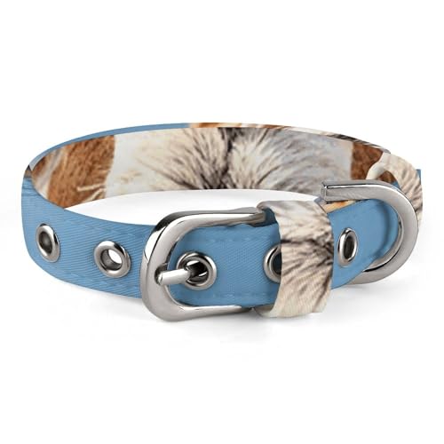 Safe Personalisiertes Hundehalsband, Alpaka, Lama, verstellbar, für mittelgroße und kleine Hunde und Katzen von LMHLDSC